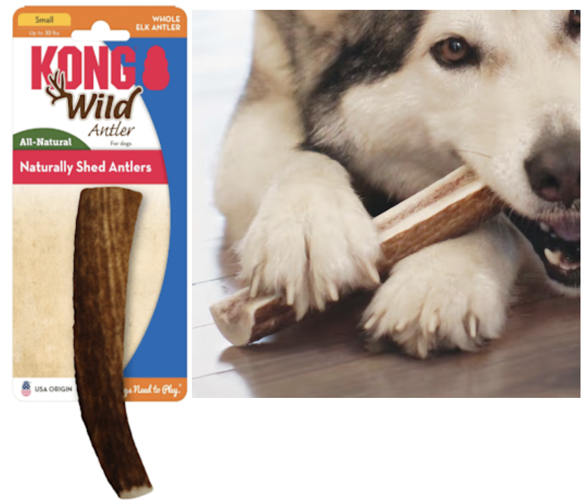 Hueso de cuerno de alce salvaje, juguete para perro