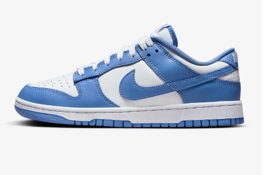 Nike Dunk Low Retro Calzado para hombre