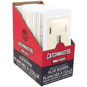 Catchmaster Trampas adhesivas compactas para insectos y ratones, 75 unidades, tableros de pegamento de 3.5 "x 7" para