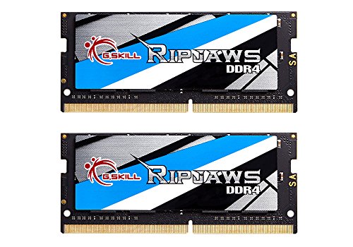 G.Skill Ripjaws Series 16GB (2 x 8G) 260-Pin DDR4 SO-DIMM DDR4 2400 (PC4 19200)