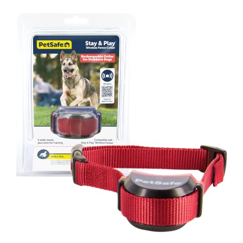 PetSafe Collar receptor de cerca para mascotas inalámbrico Stay & Play para perros obstinados, resistente al agua,