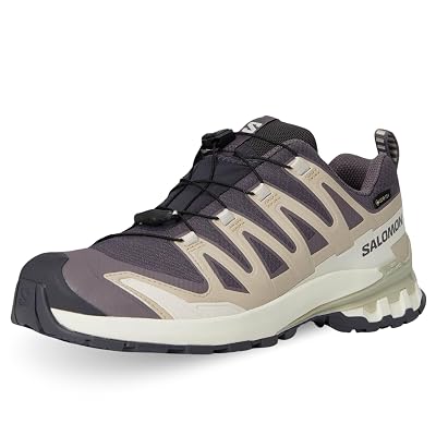 Salomon Women's XA Pro 3D V9 Gore-TEX Sneaker, Nine Iron/Oxford Tan/Alfalfa, 10