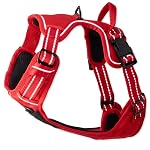 Kit de Alambre Extra PetSafe y Bandera para Cerca Subterránea