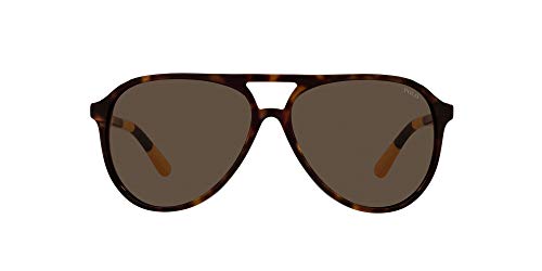 Gafas de sol Polo Ralph Lauren modelo PH4173 aviador para hombre, Havana oscuro brillante/marrón, 59 mm