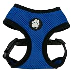Bandeja Reutilizable PetSafe ScoopFree, Arena para Gatos Crystal, Aroma Fresco