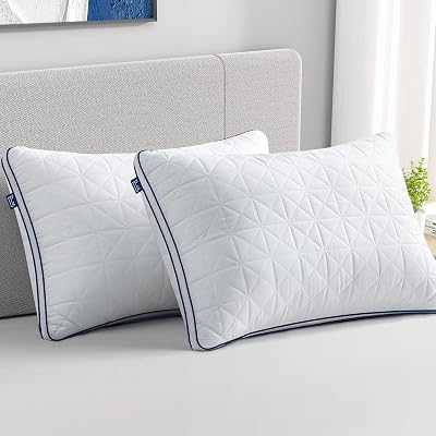 Almohadas BedStory para Dormir, Juego de 2 Almohadas Estándar, Almohadas Refrigerantes con Mes