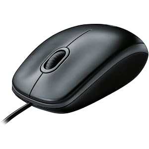 Ratón Óptico USB Logitech B100, Negro