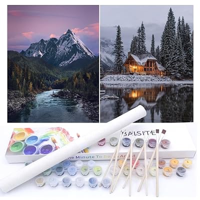 Kit de Pintura por Números BAISITE para Adultos Principiantes, Lienzo 12" Ancho x 16" Largo Paquete de 2 para P